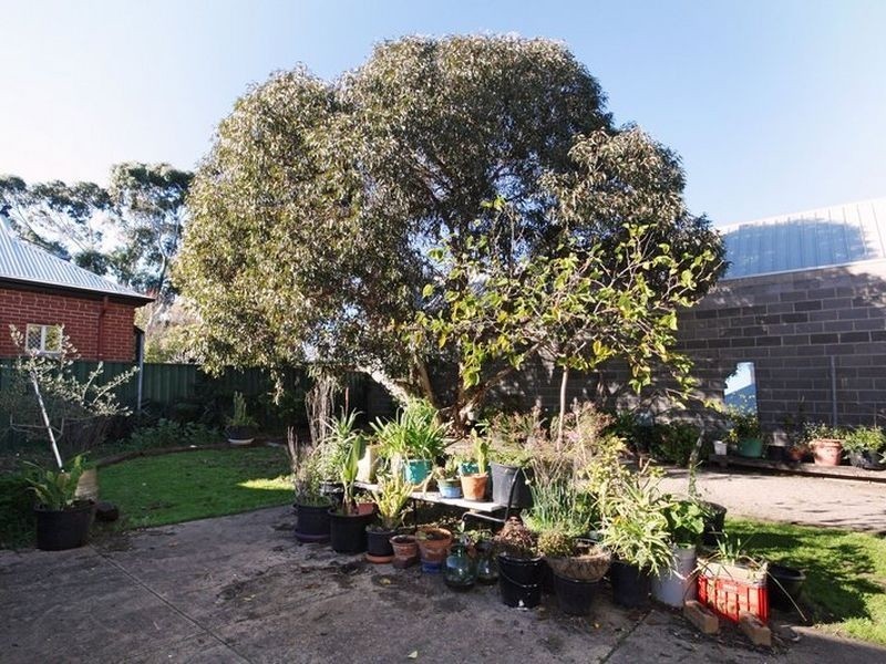 95 Rose Terrace, Wayville SA 5034