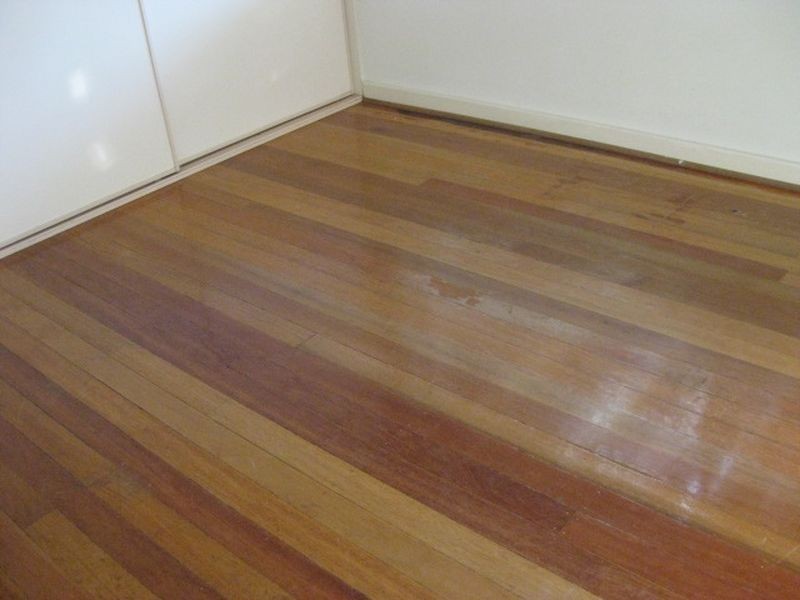 4 Allen Grove, Unley SA 5061