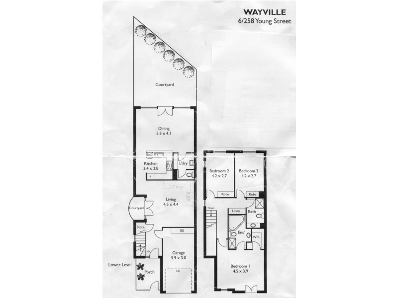 Wayville SA 5034 Floorplan