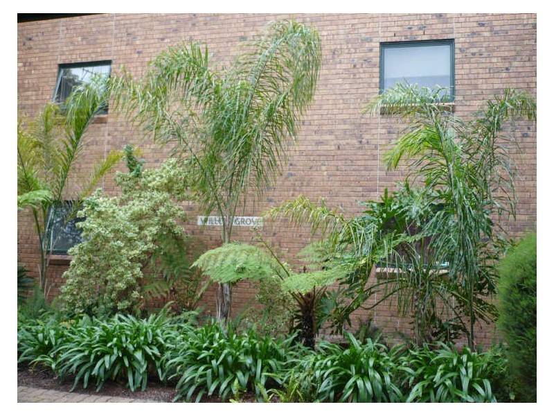 17/388 Carrington Street, Adelaide SA 5000