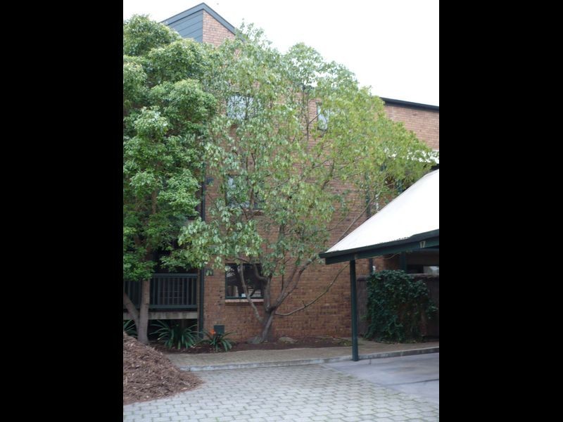 17/388 Carrington Street, Adelaide SA 5000