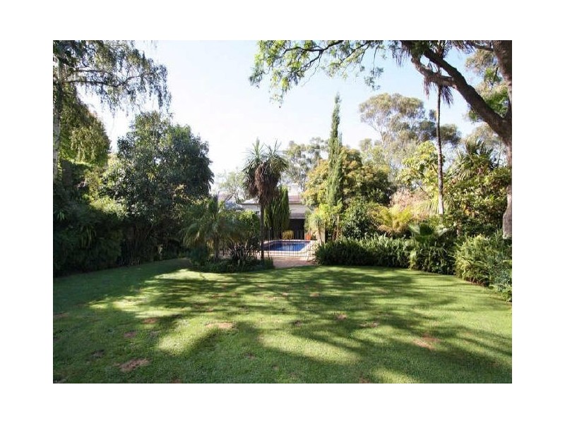 91 NORTHGATE STREET, Unley Park SA 5061