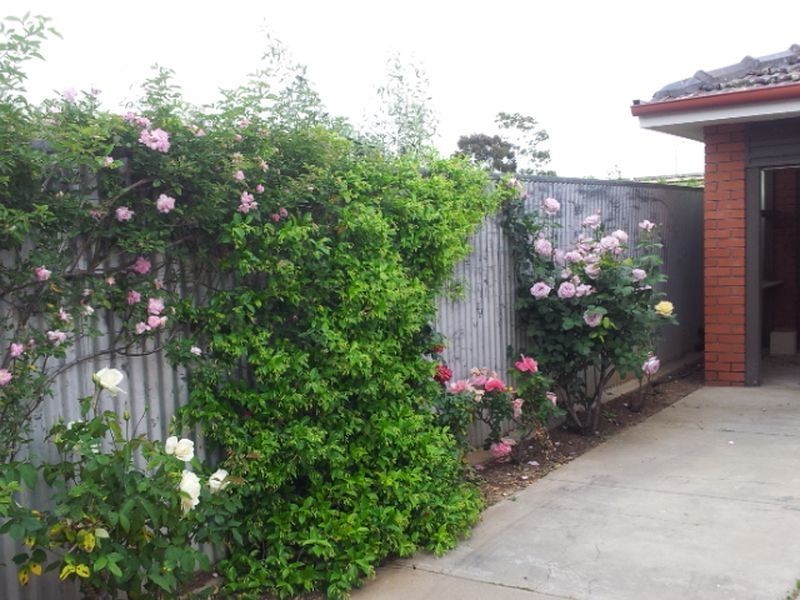 3/71 Clifton Street, Malvern SA 5061