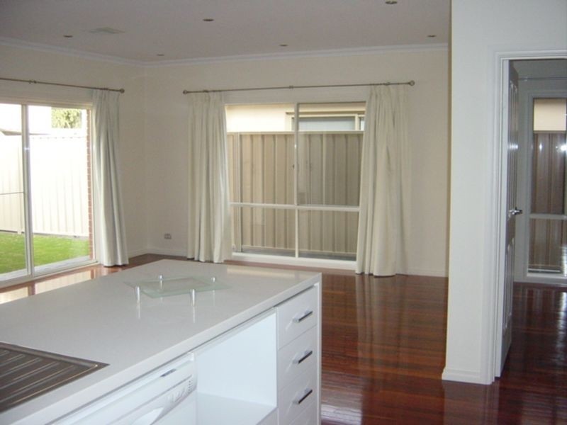 21 Castle Street, Parkside SA 5063