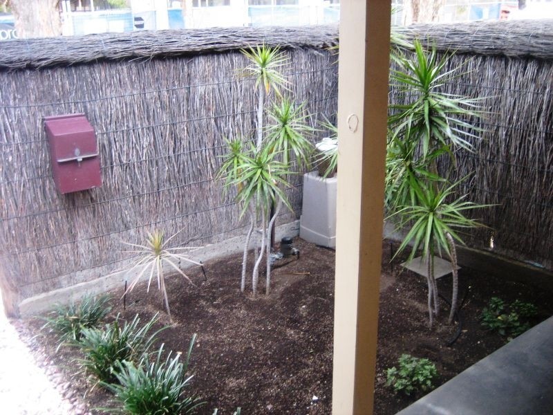 23 Charles Street, Unley SA 5061