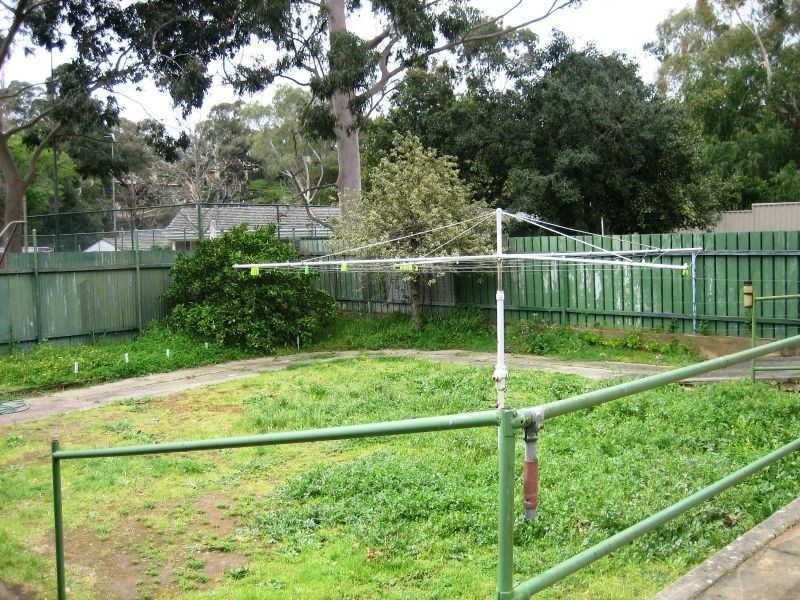 3 Garden Avenue, Burnside SA 5066
