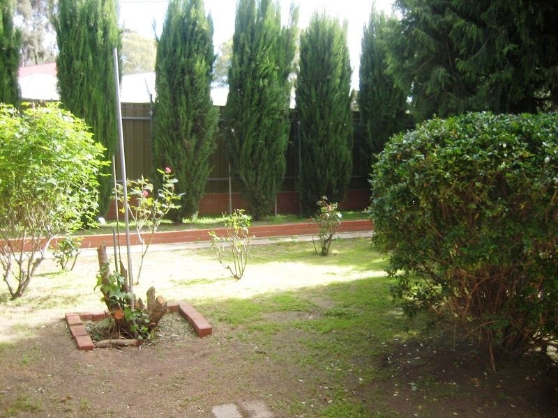 3 Garden Avenue, Burnside SA 5066