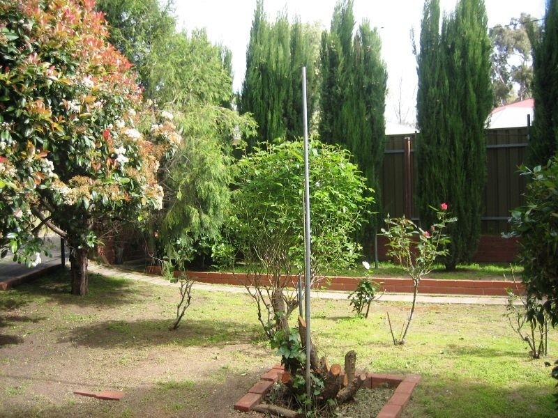 3 Garden Avenue, Burnside SA 5066
