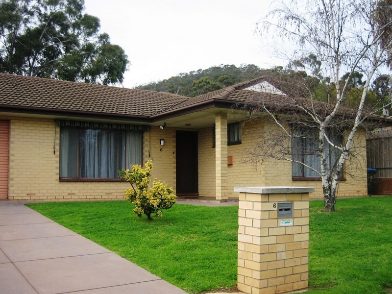 6 Owen Street, Torrens Park SA 5062