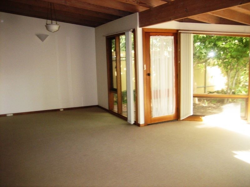 62 Opey Avenue, Hyde Park SA 5061