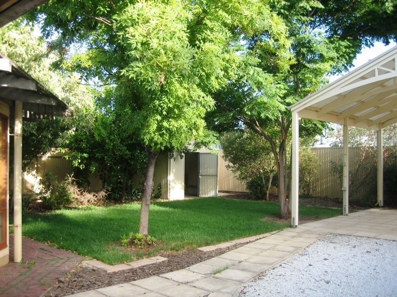 62 Opey Avenue, Hyde Park SA 5061