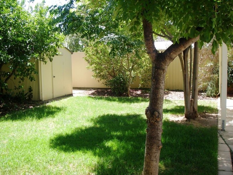 62 Opey Avenue, Hyde Park SA 5061