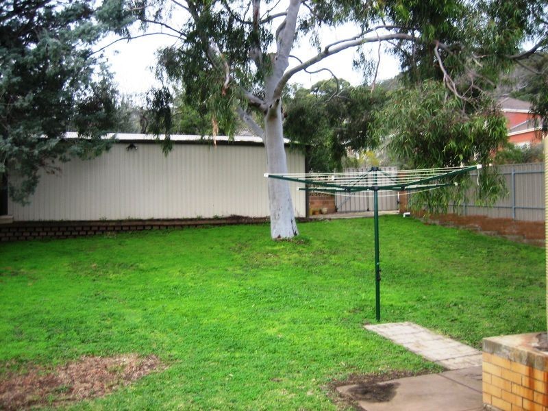 6 Owen Street, Torrens Park SA 5062