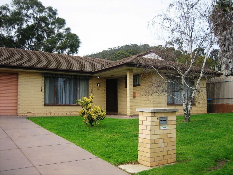 6 Owen Street, Torrens Park SA 5062