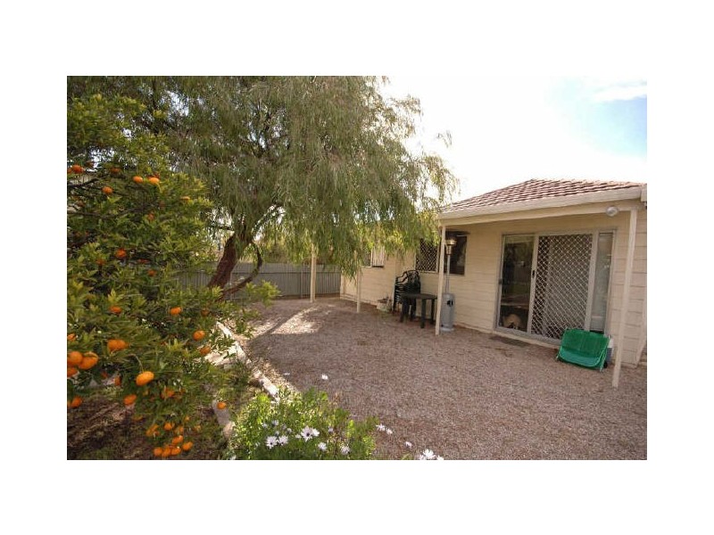 51 Woodfield Avenue, Fullarton SA 5063