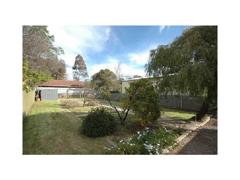 51 Woodfield Avenue, Fullarton SA 5063