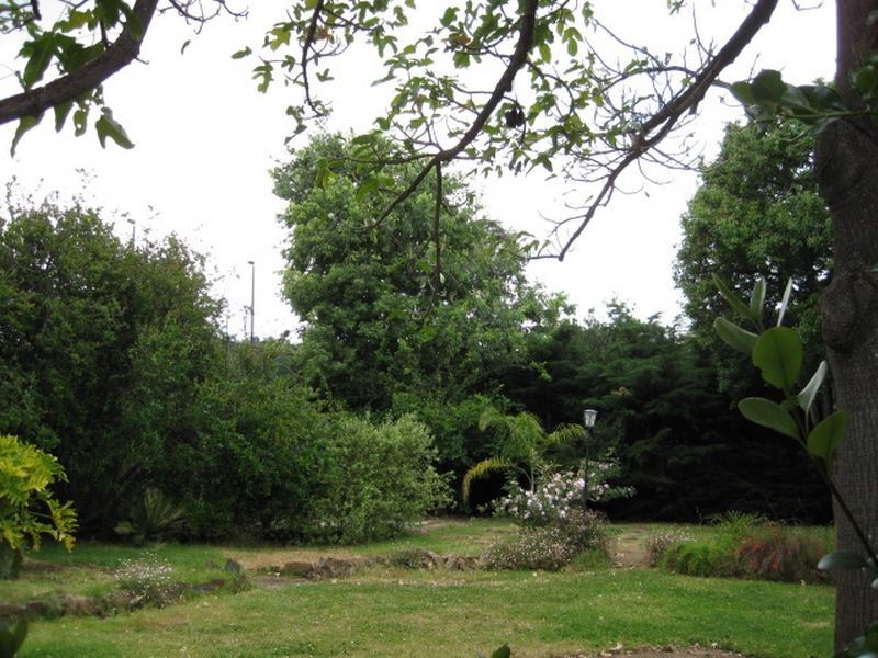 24 Craighill Road, St Georges SA 5064
