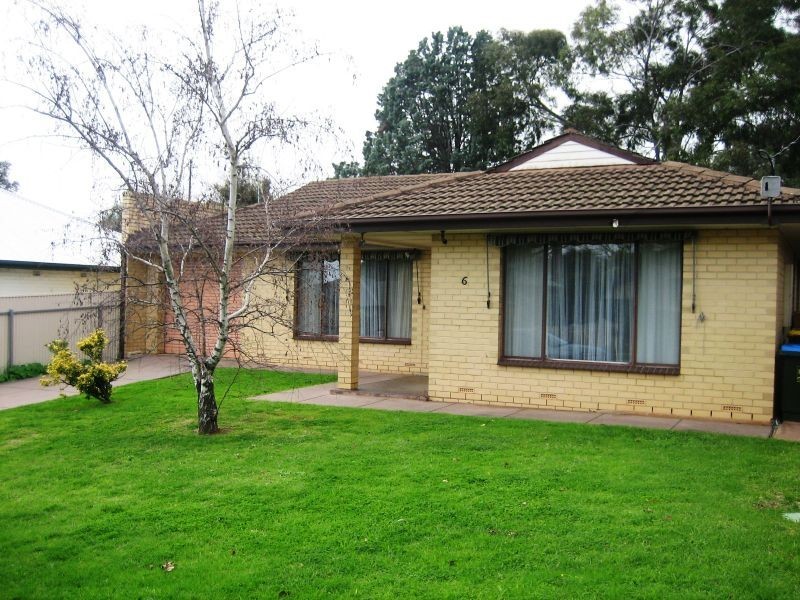 6 Owen Street, Torrens Park SA 5062