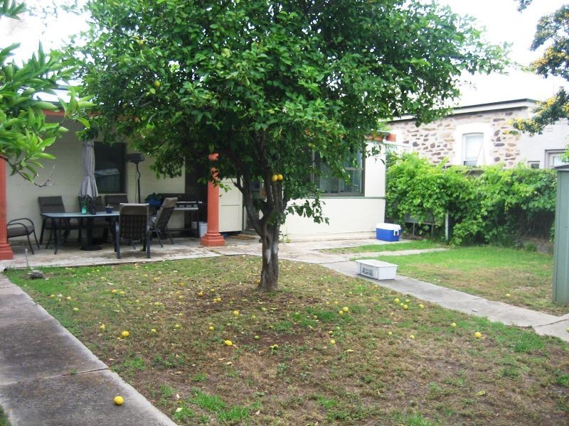 62 Clifton Street, Malvern SA 5061