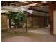 89 Avenue Road, Clarence Gardens SA 5039