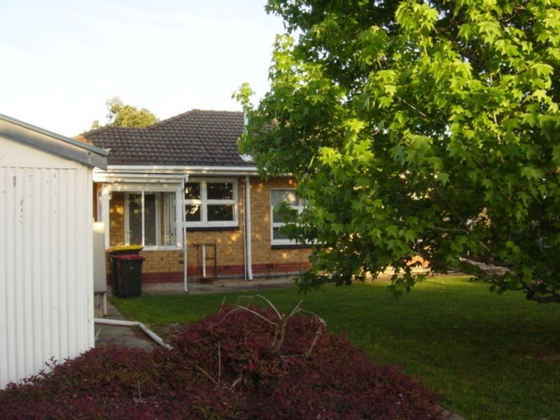 6 Seymour Grove, Brighton SA 5048