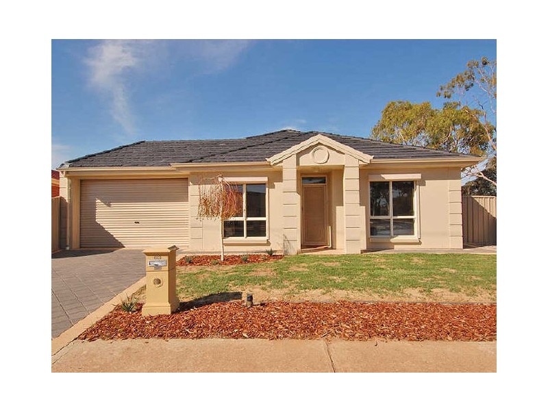 63 Johnstone Road, Oaklands Park SA 5046