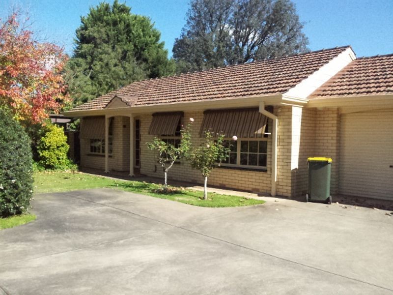 2/81 Cheltenham Street, Malvern SA 5061