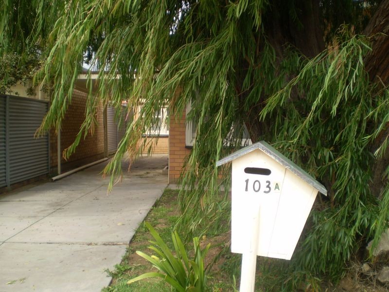 103A Raglan Avenue, South Plympton SA 5038