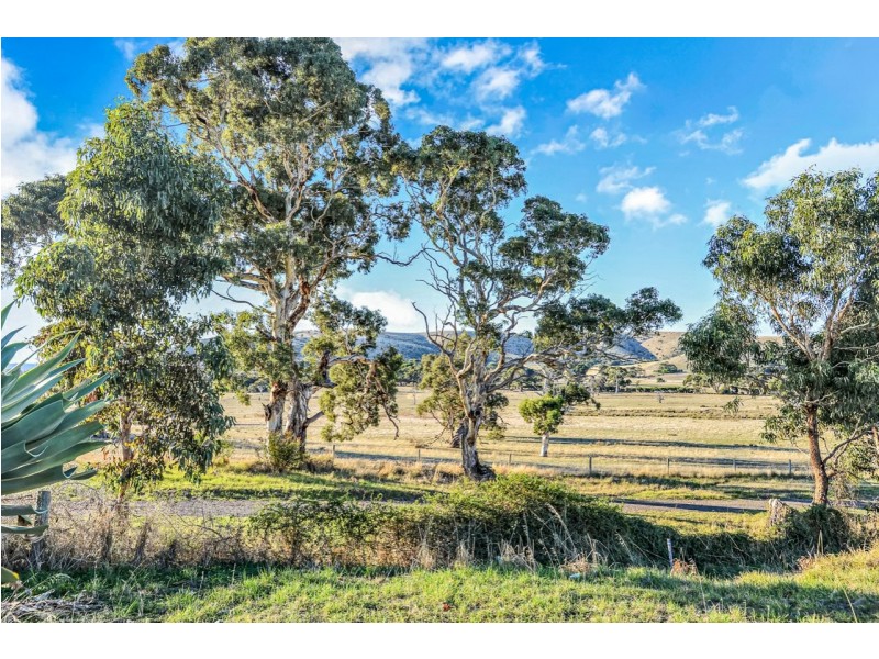 37 Springbett Drive, Hayborough SA 5211