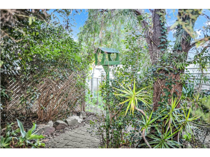 7 Ives Crescent, Mccracken SA 5211