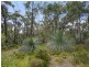 202 Blowhole Beach Rd, Deep Creek SA 5204