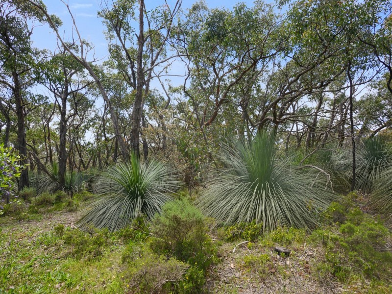 202 Blowhole Beach Rd, Deep Creek SA 5204