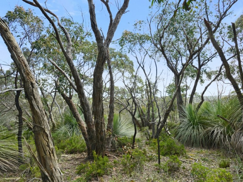 202 Blowhole Beach Rd, Deep Creek SA 5204