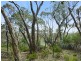 202 Blowhole Beach Rd, Deep Creek SA 5204