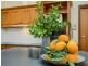 49 The Crescent, Mccracken SA 5211