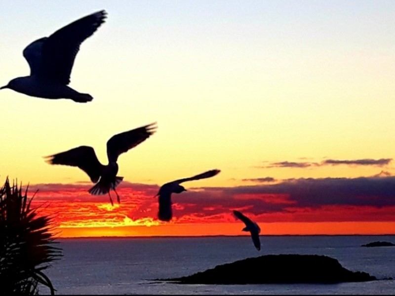 7 Minnamoora Court, Encounter Bay SA 5211