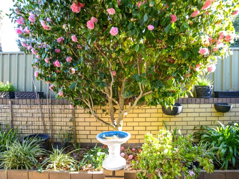 2/1 Carlyle Street, Victor Harbor SA 5211