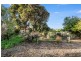 6 Donegal Street, Mccracken SA 5211