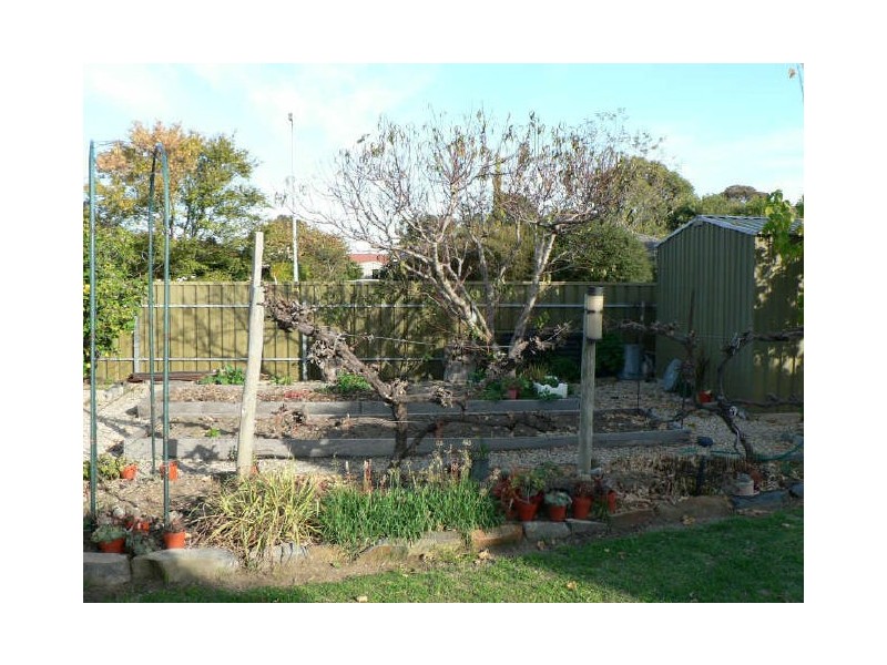 1 Dolphin Avenue, Encounter Bay SA 5211