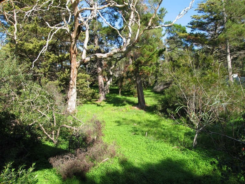 19 Gum Avenue, Victor Harbor SA 5211