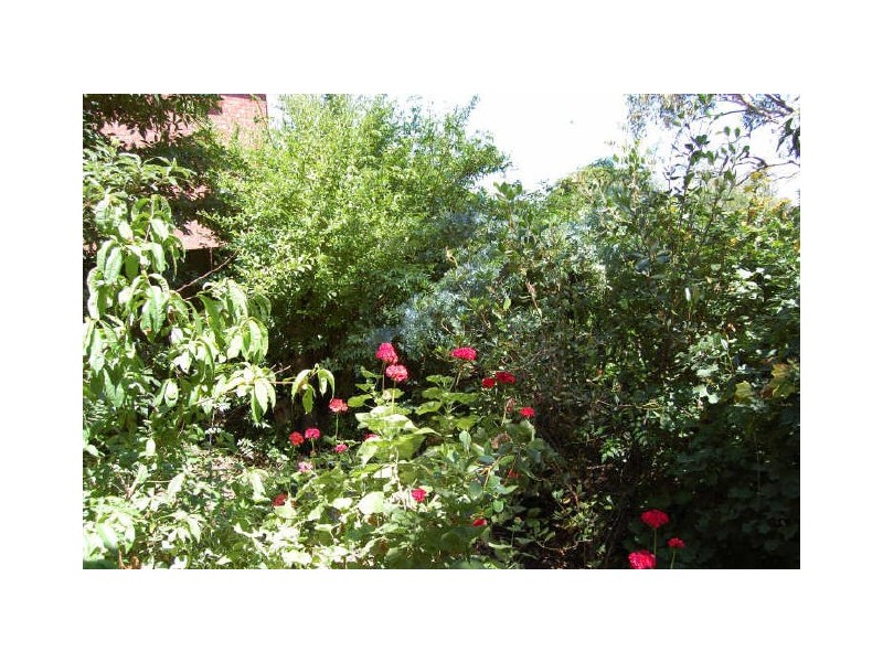 11 Altman Avenue, Victor Harbor SA 5211