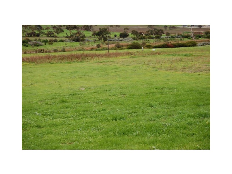 Lot 194 Springbett Road, Hayborough SA 5211