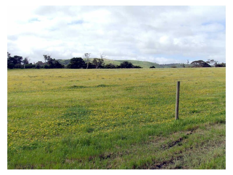 Lot 64 Coromandel Drive, Mccracken SA 5211
