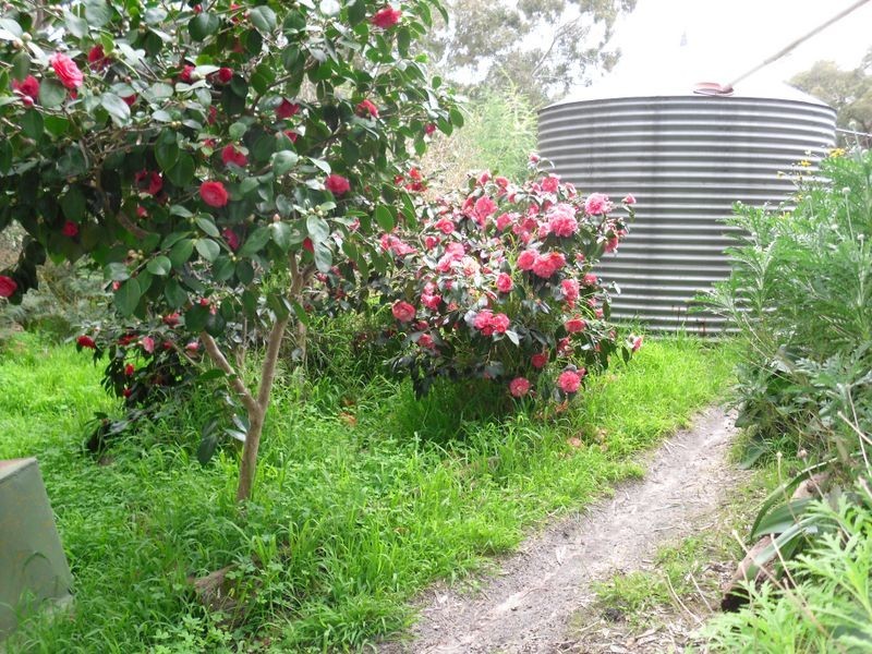 Lot 119 Hancock Road, Victor Harbor SA 5211