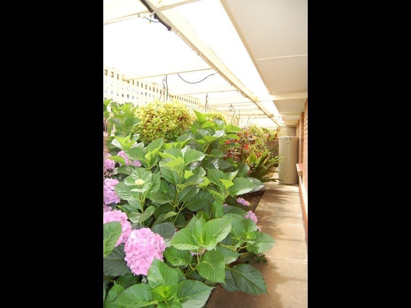 20 Dolphin Ave, Encounter Bay SA 5211