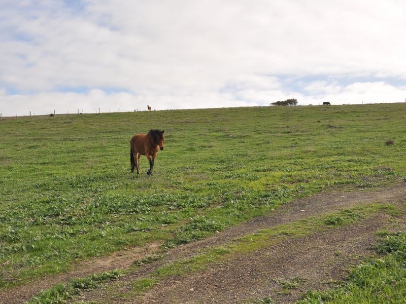 Lot 96 Inman Valley Road, Victor Harbor SA 5211