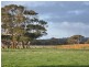 221 Blockers Road, Waitpinga SA 5211