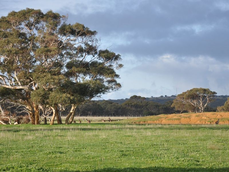 221 Blockers Road, Waitpinga SA 5211