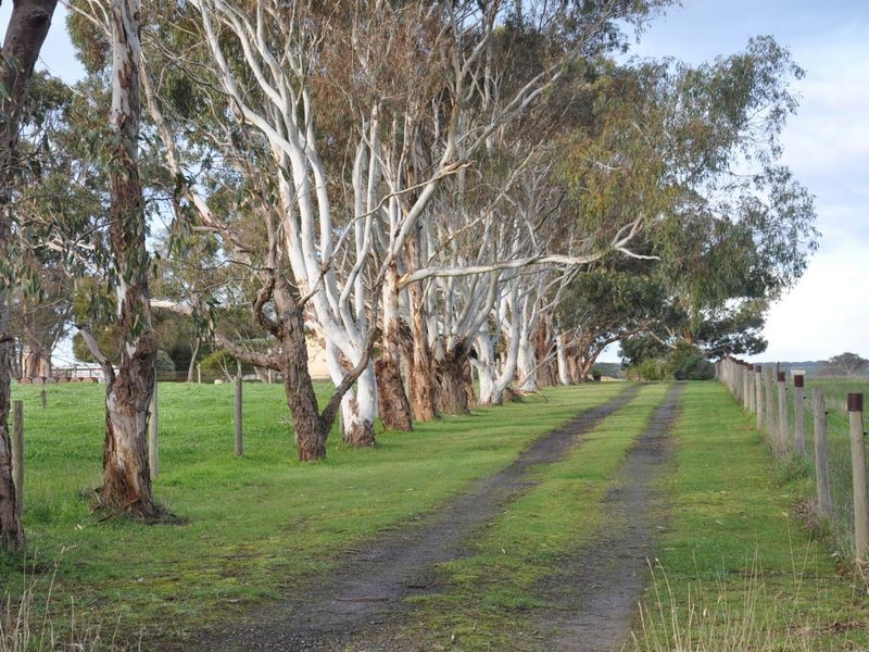 221 Blockers Road, Waitpinga SA 5211