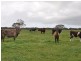 221 Blockers Road, Waitpinga SA 5211